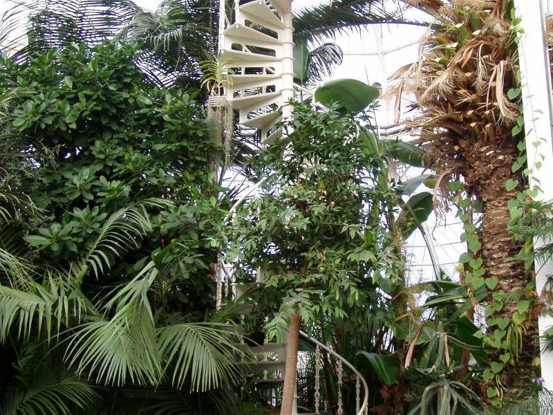 Sefton Park Palm House