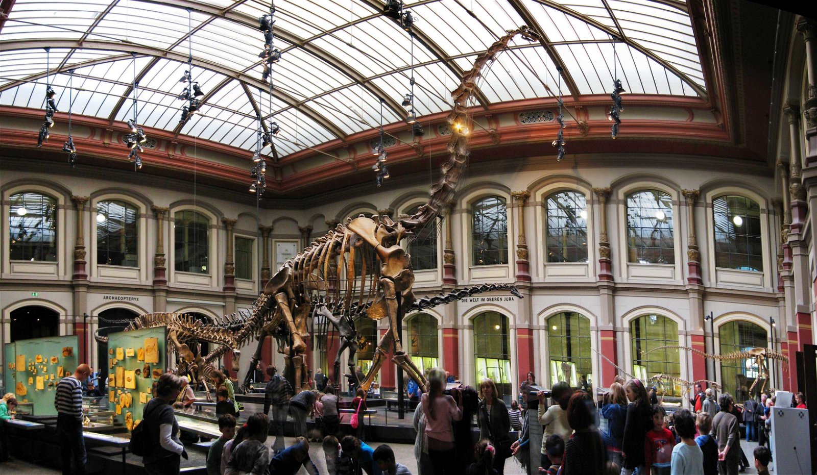 Natural History Museum Berlin