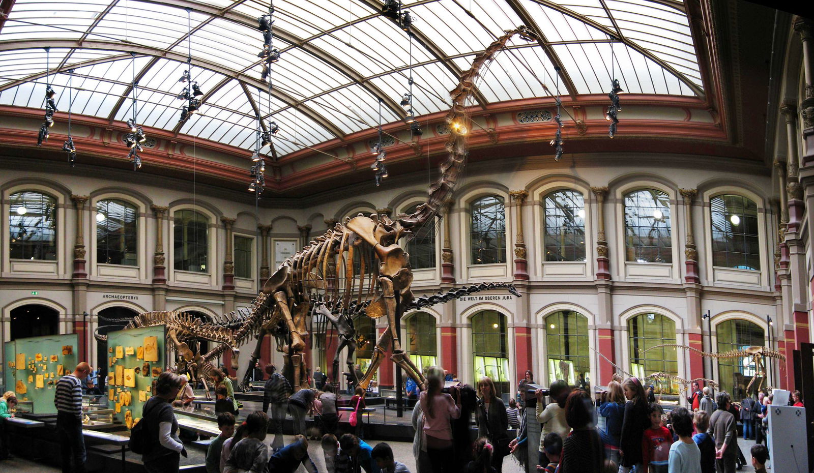 Natural History Museum Berlin