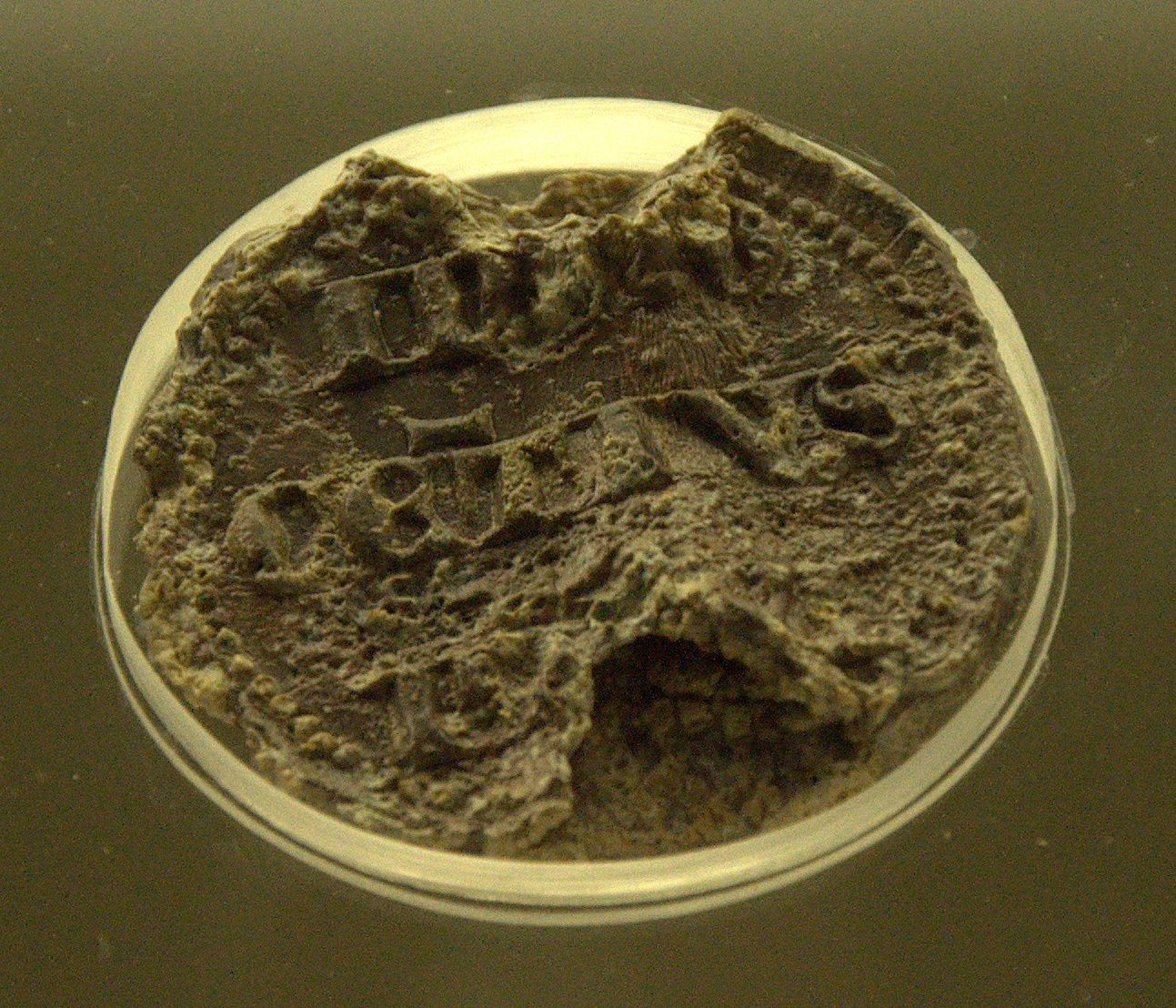 Provinciale Erfgoedsite Ename