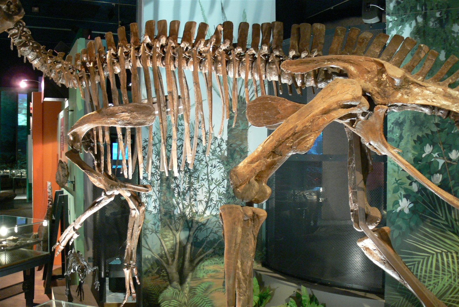 National Museum Cardiff