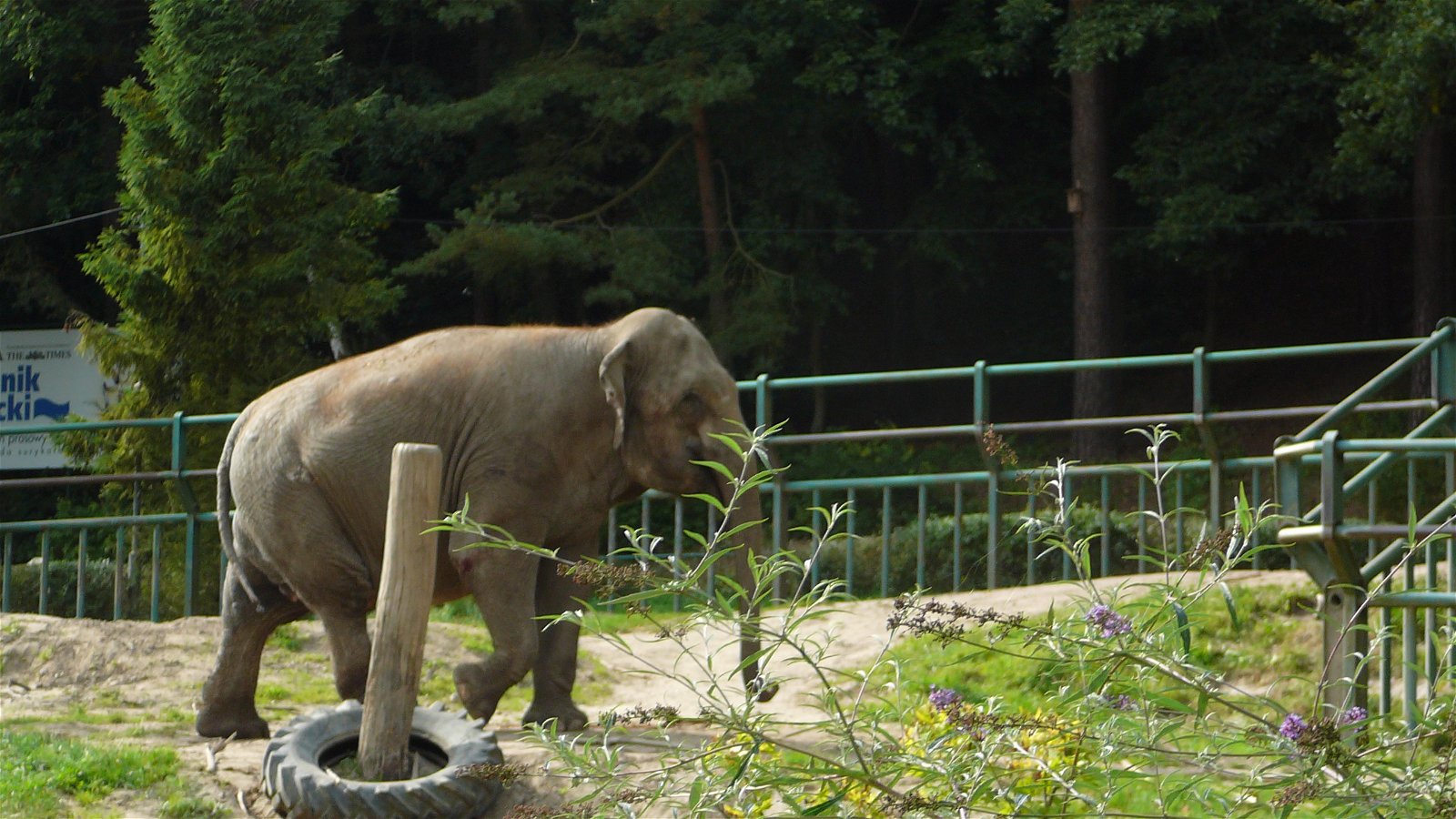 Oliwa Zoo Gdańsk