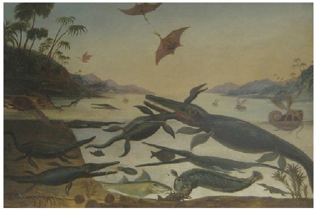 Sedgwick Museum of Earth Sciences