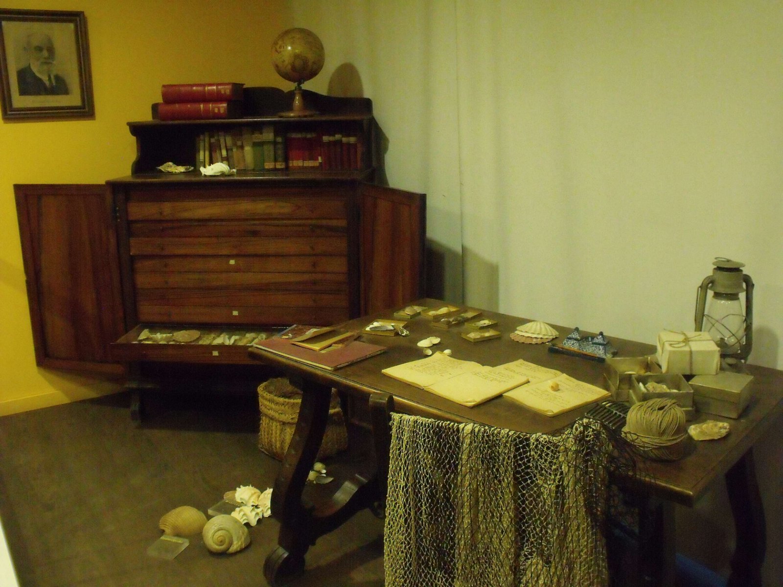 Museum of Natural Science