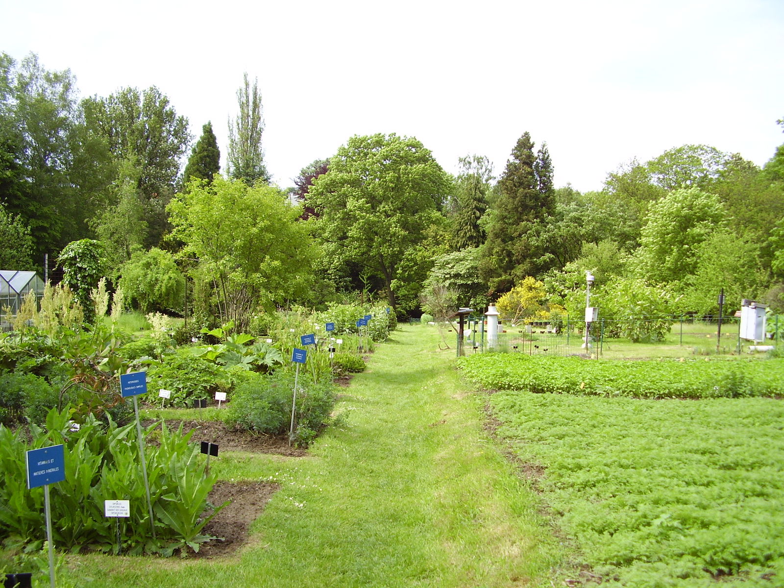Jardin Botanique Jean Massart