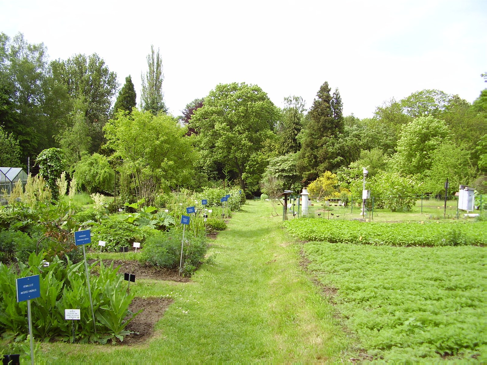 Jean Massart Botanical Garden
