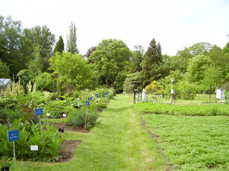 Jean Massart Botanical Garden