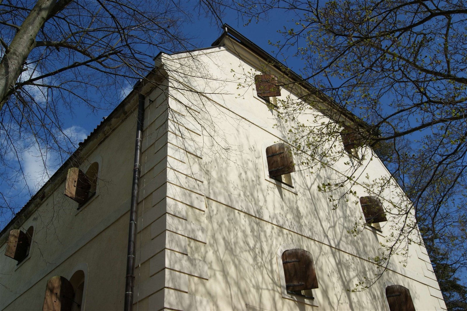 Abbey Granary - Department of Ethnography
