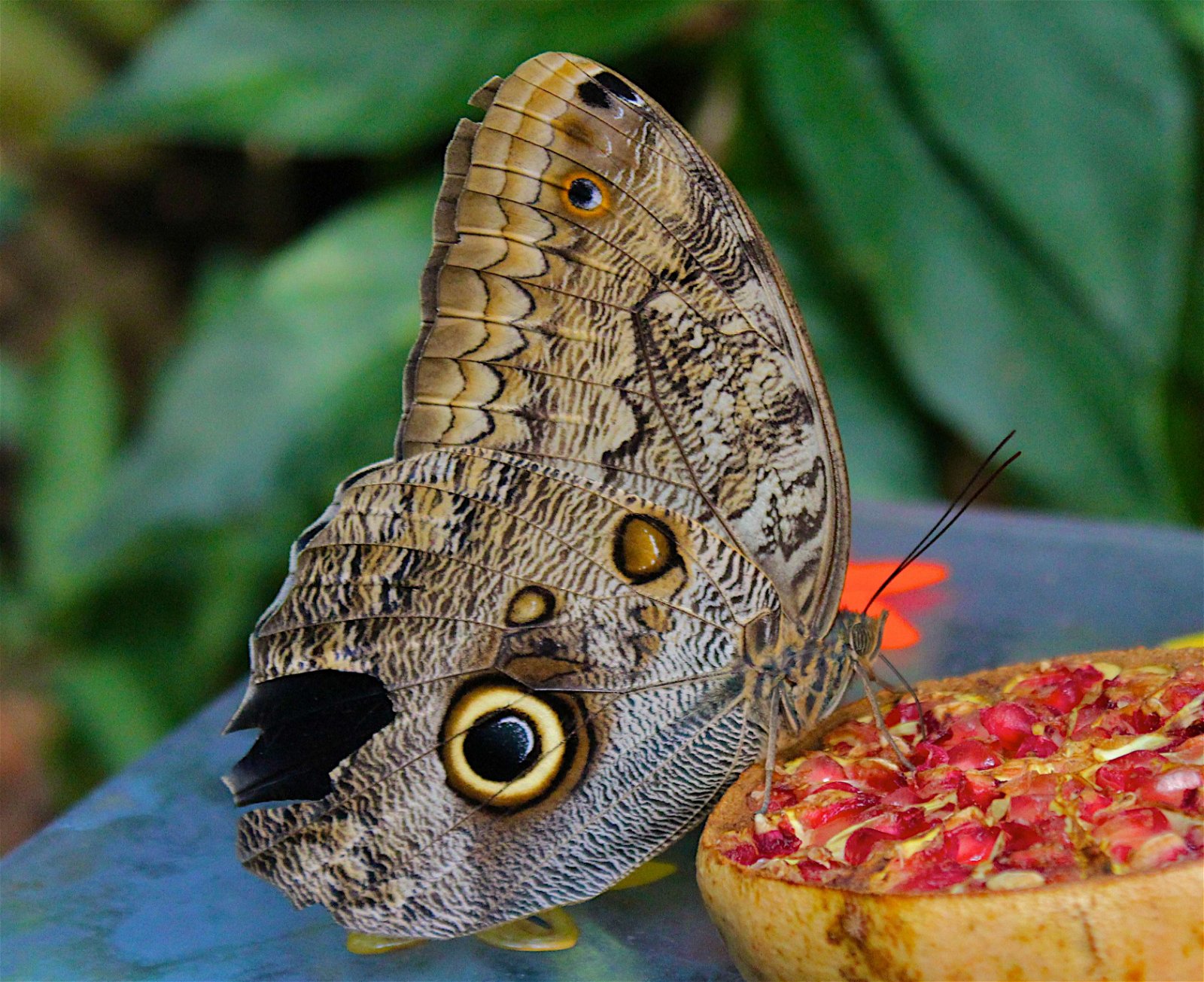 Aquazoo – Löbbecke-Museum Düsseldorf