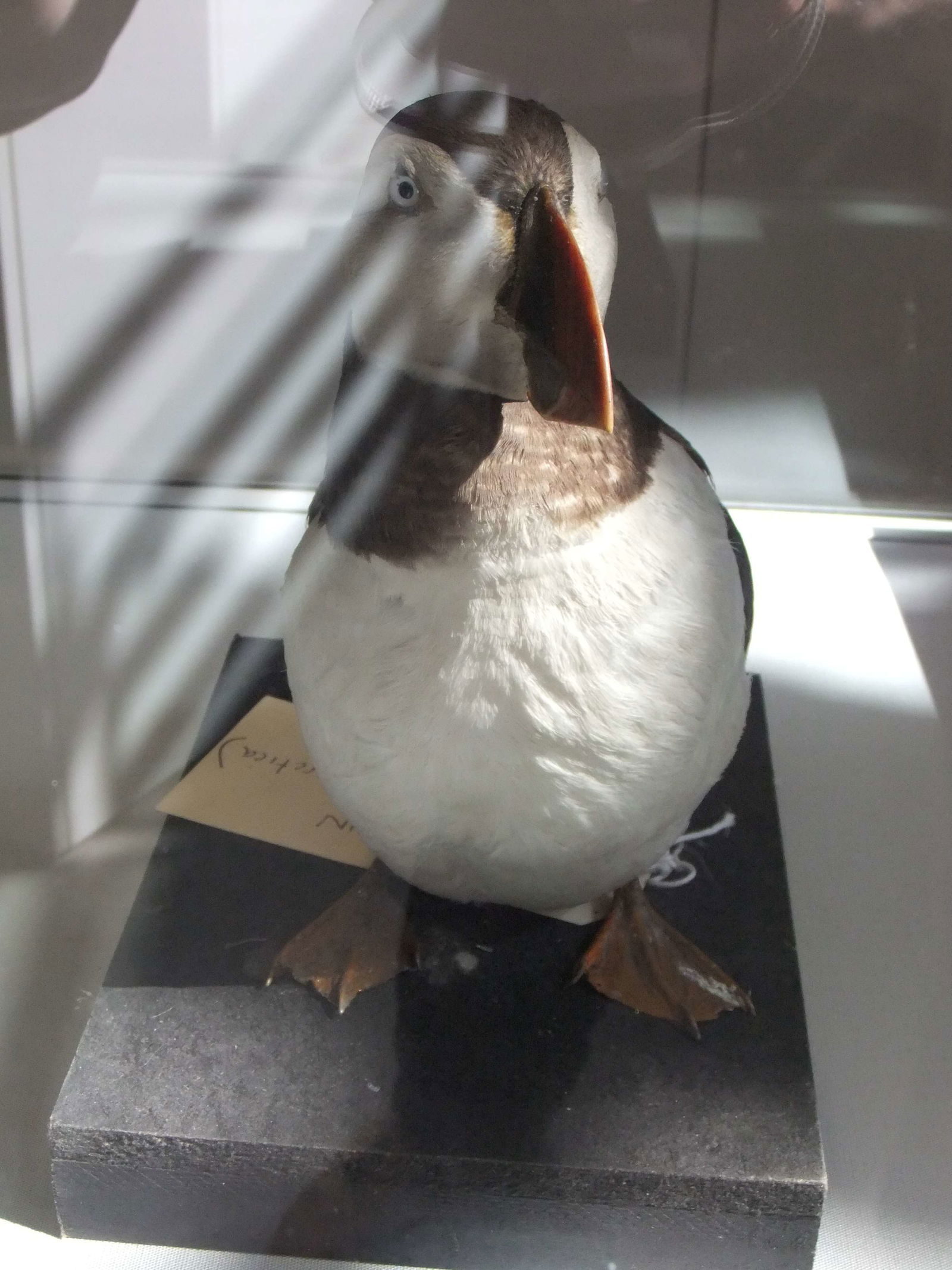 Ludlow Library and Museum Resource Centre