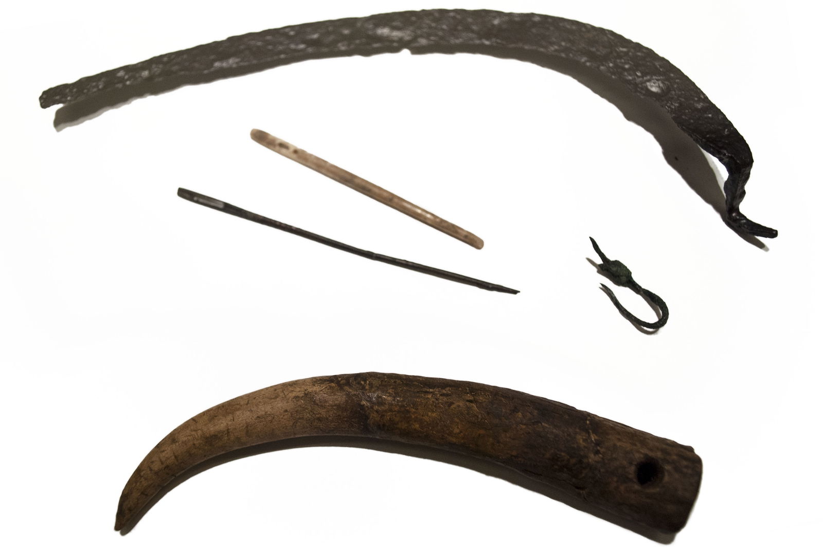 Roman Museum at the Hoher Markt