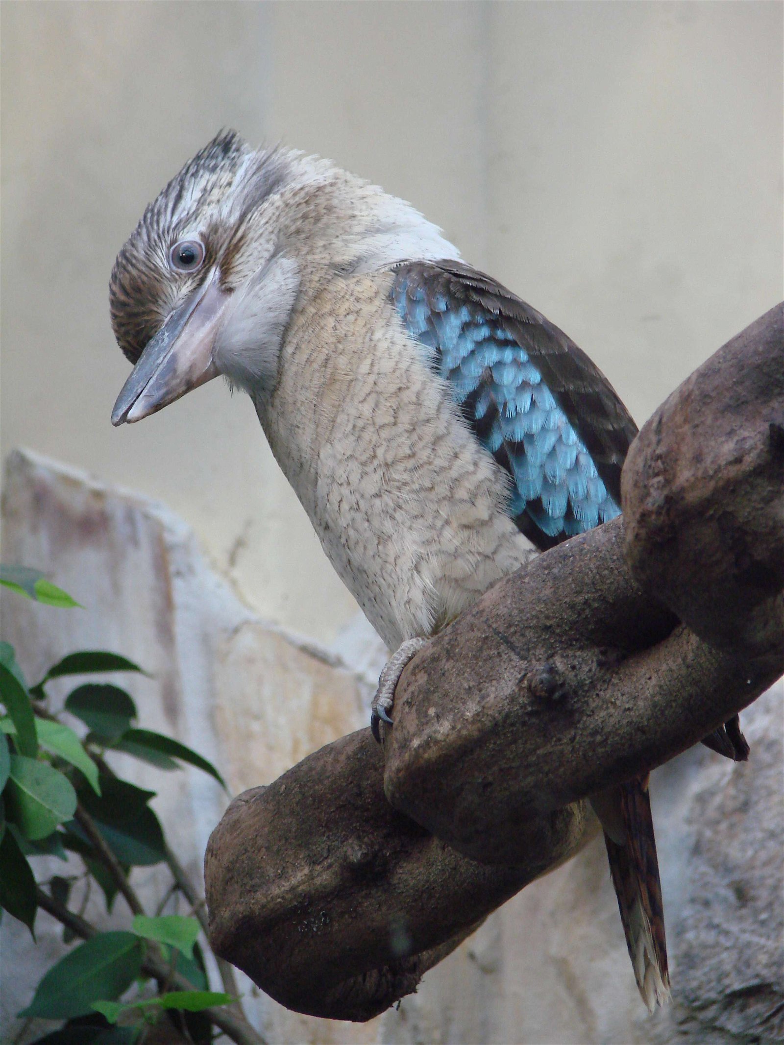 Wroclaw Zoo & Africarium