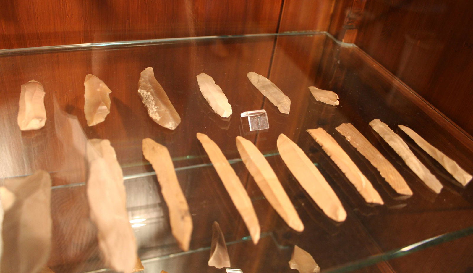 Ägyptisches Museum der Universität Leipzig