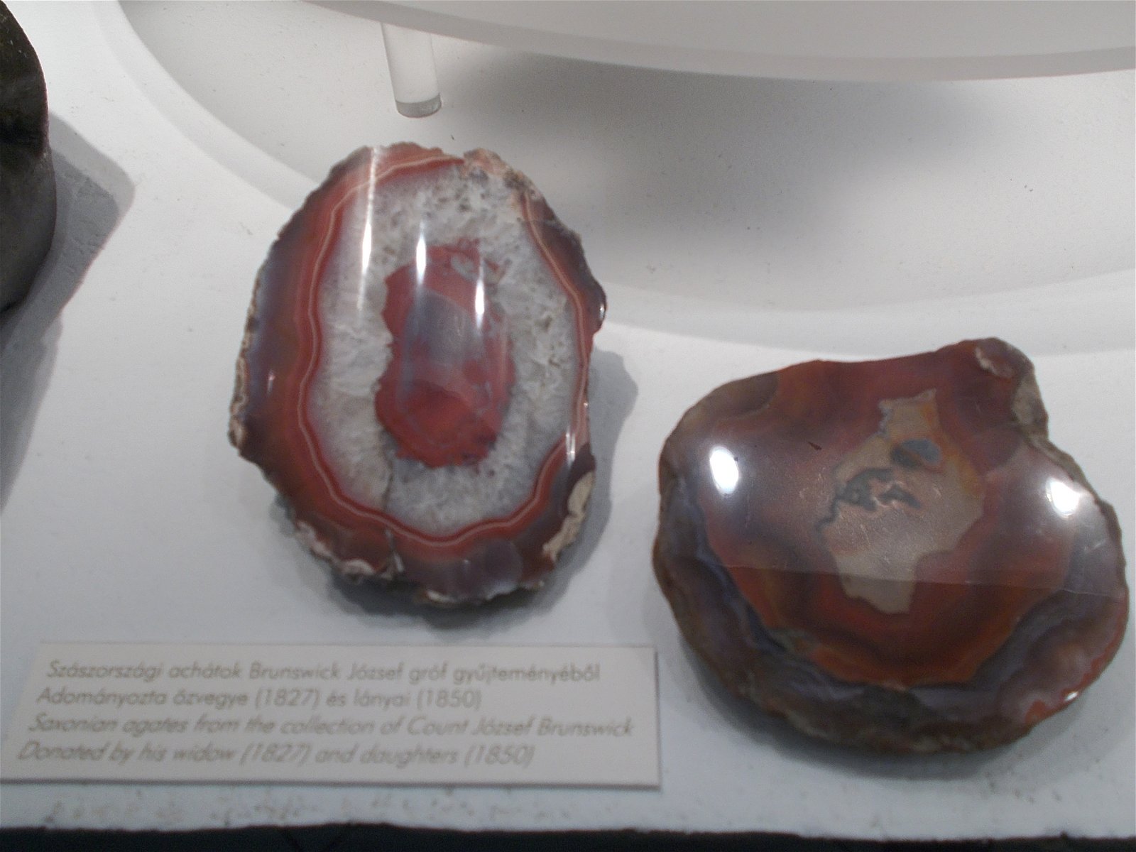 Hungarian Natural History Museum