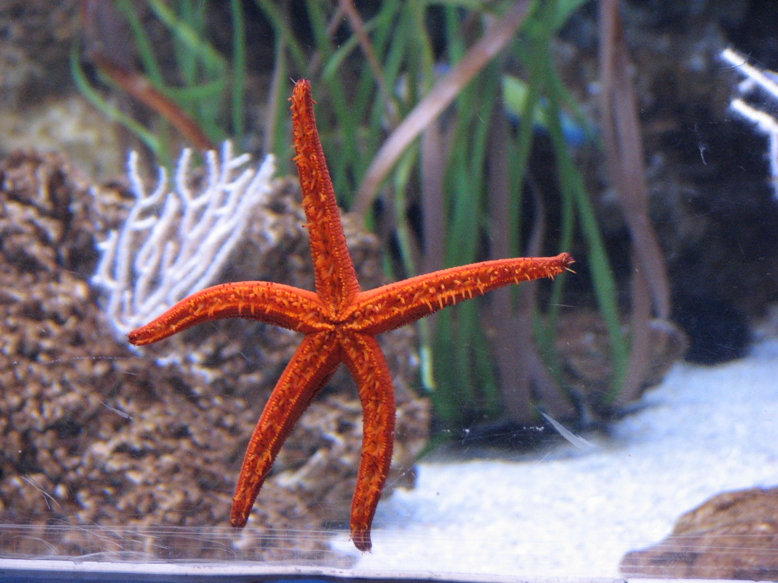L’Aquàrium de Barcelona