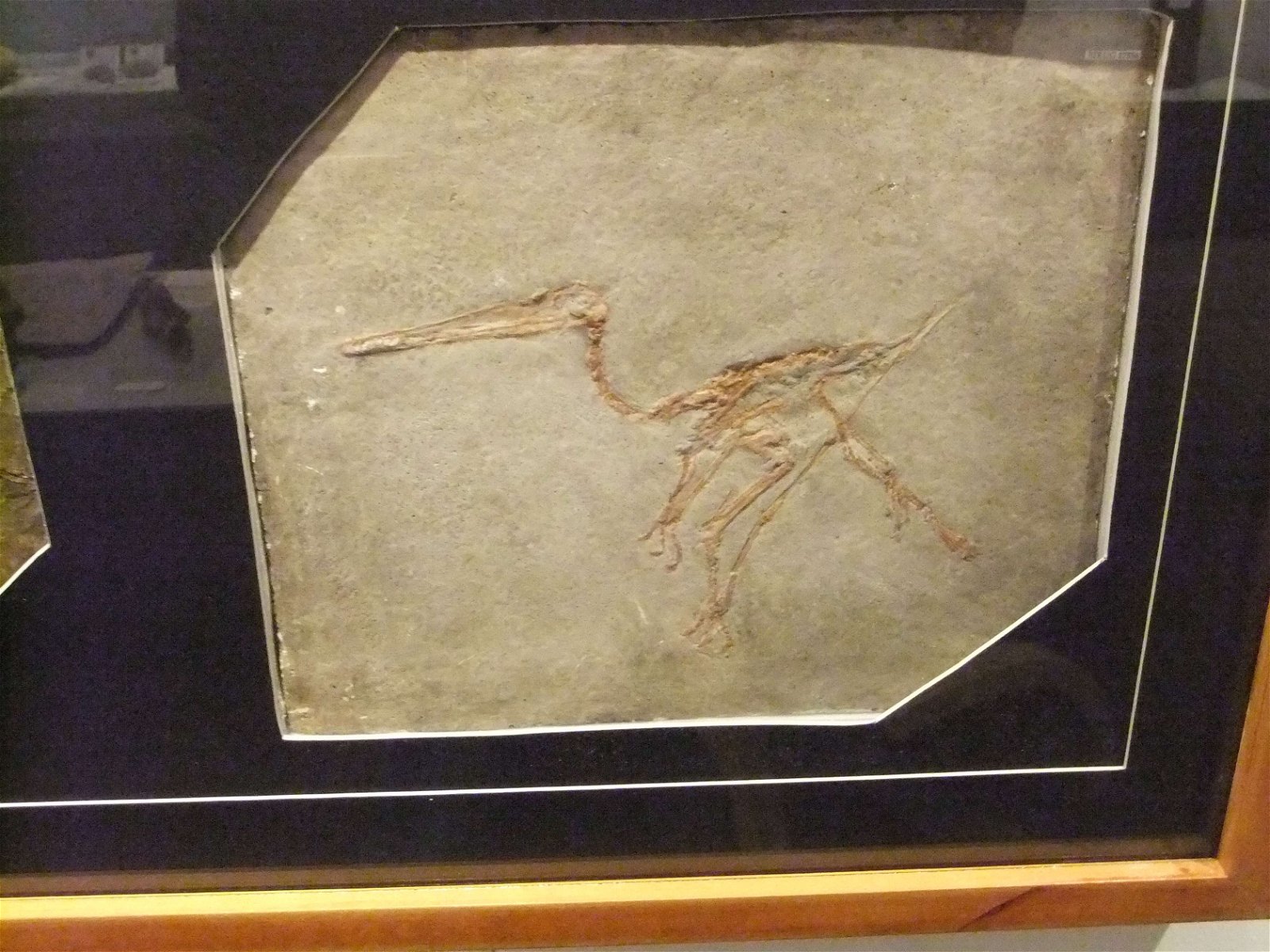 Wrexham County Borough Museum and Archives