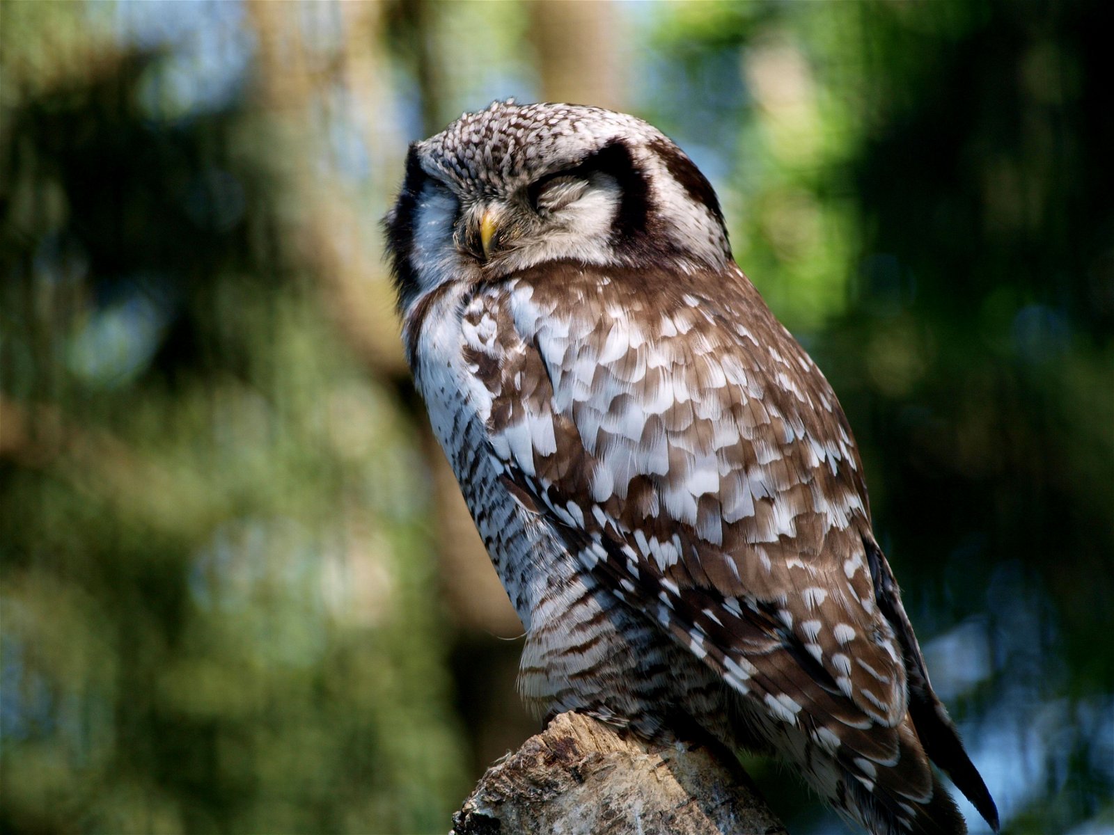 Wroclaw Zoo & Africarium