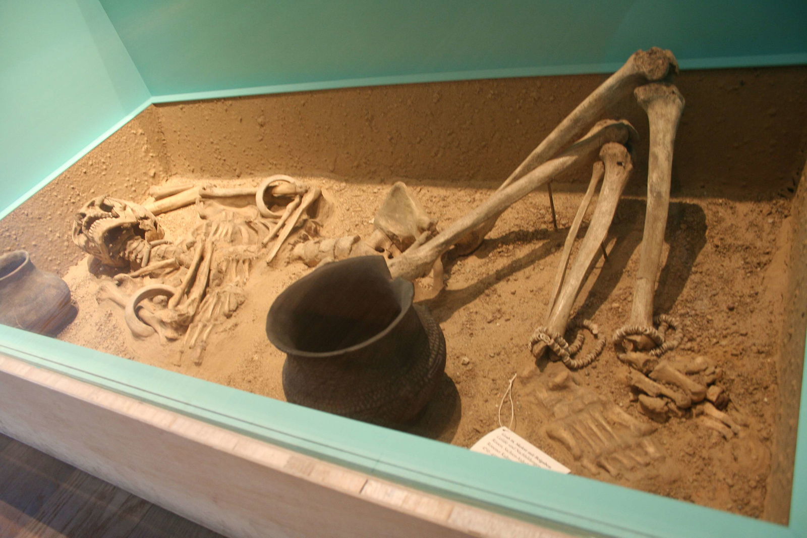 Museum für Vor- und Frühgeschichte