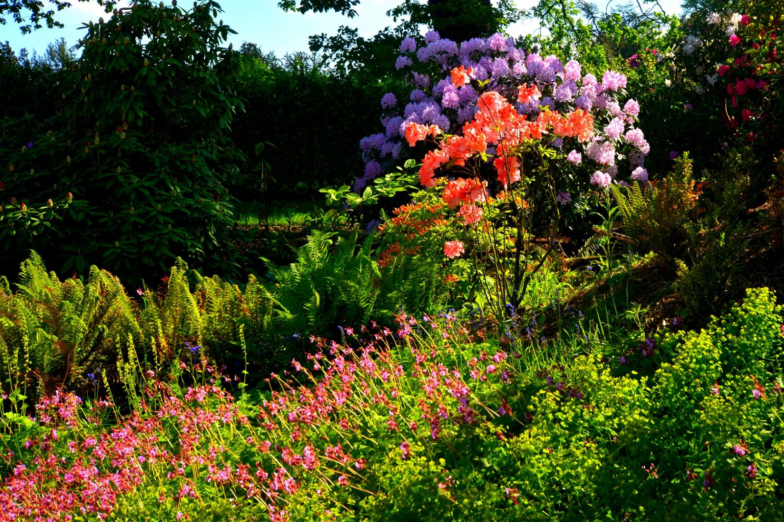 Wentworth Castle Gardens
