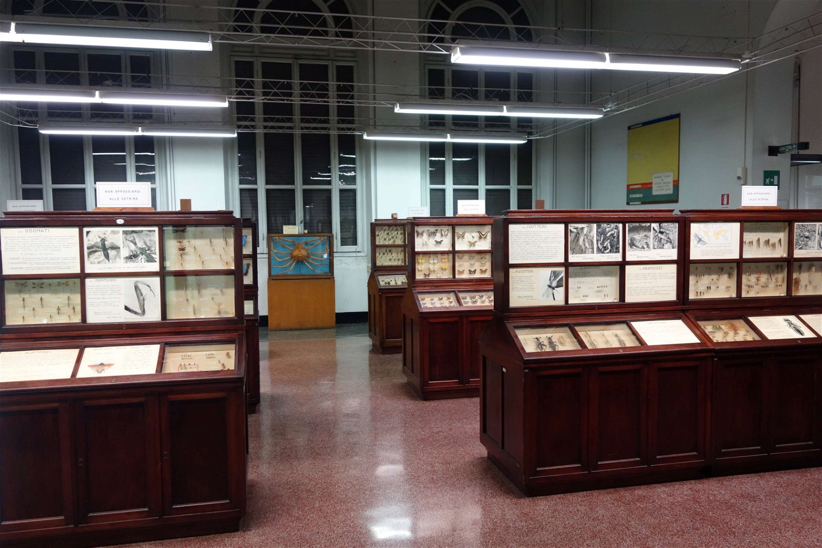 Museo Civico di Storia Naturale Giacomo Doria