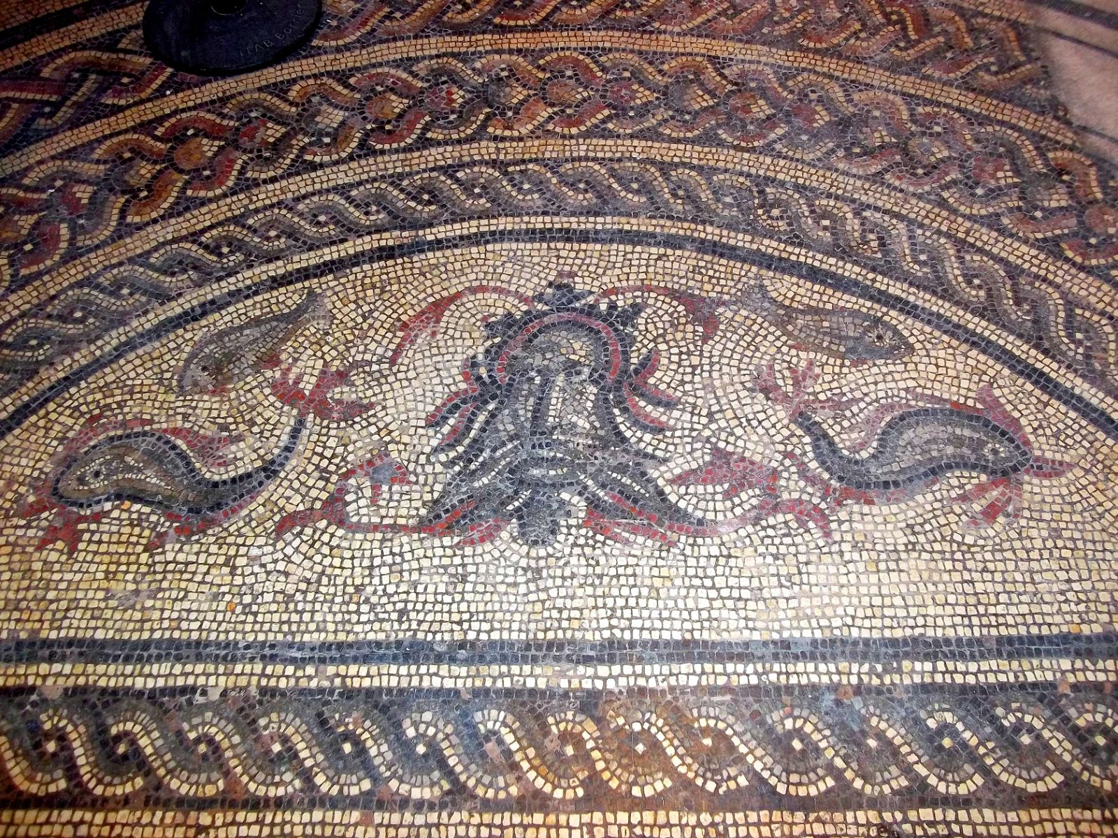 Dorset County Museum