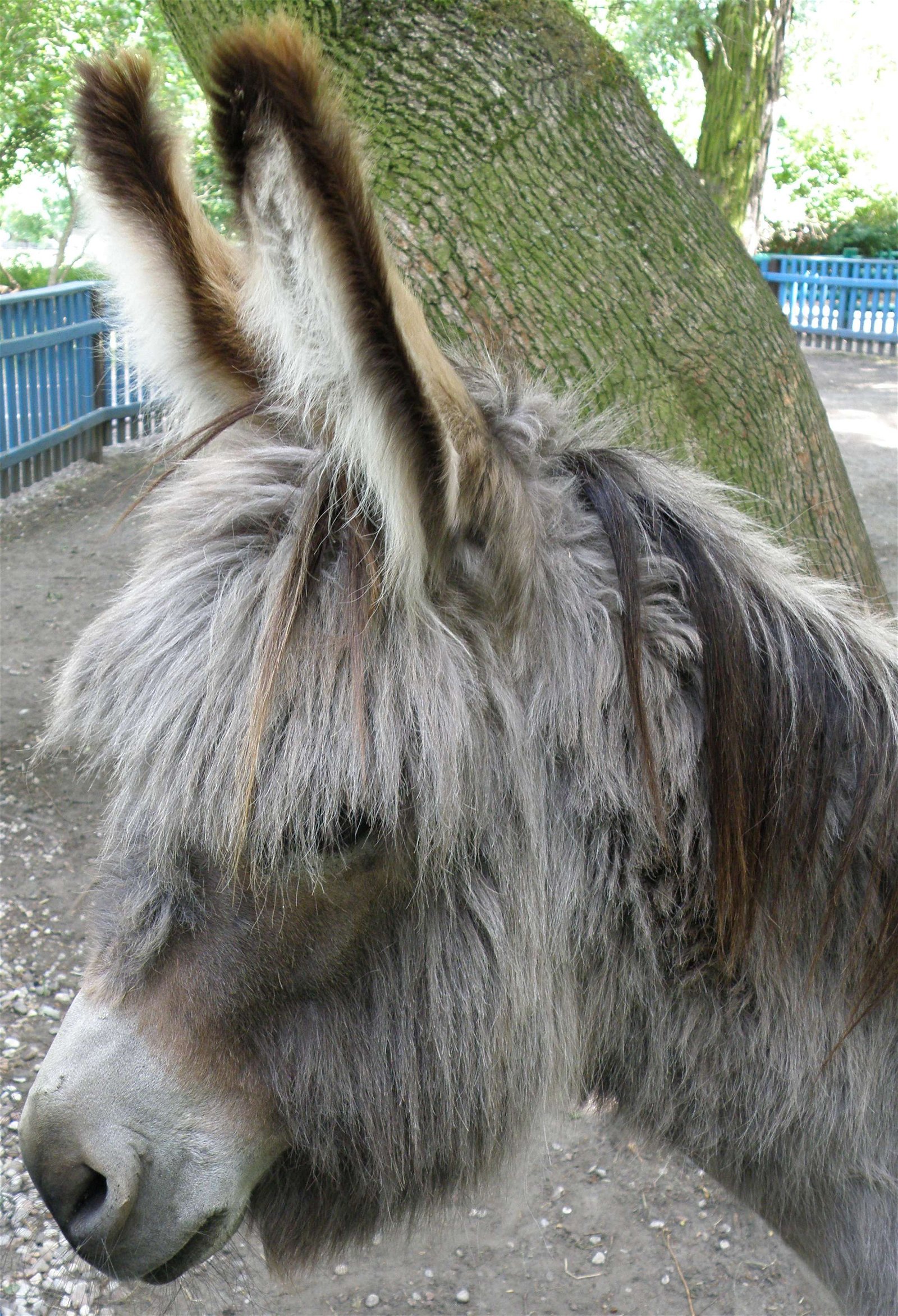 Warsaw Zoo