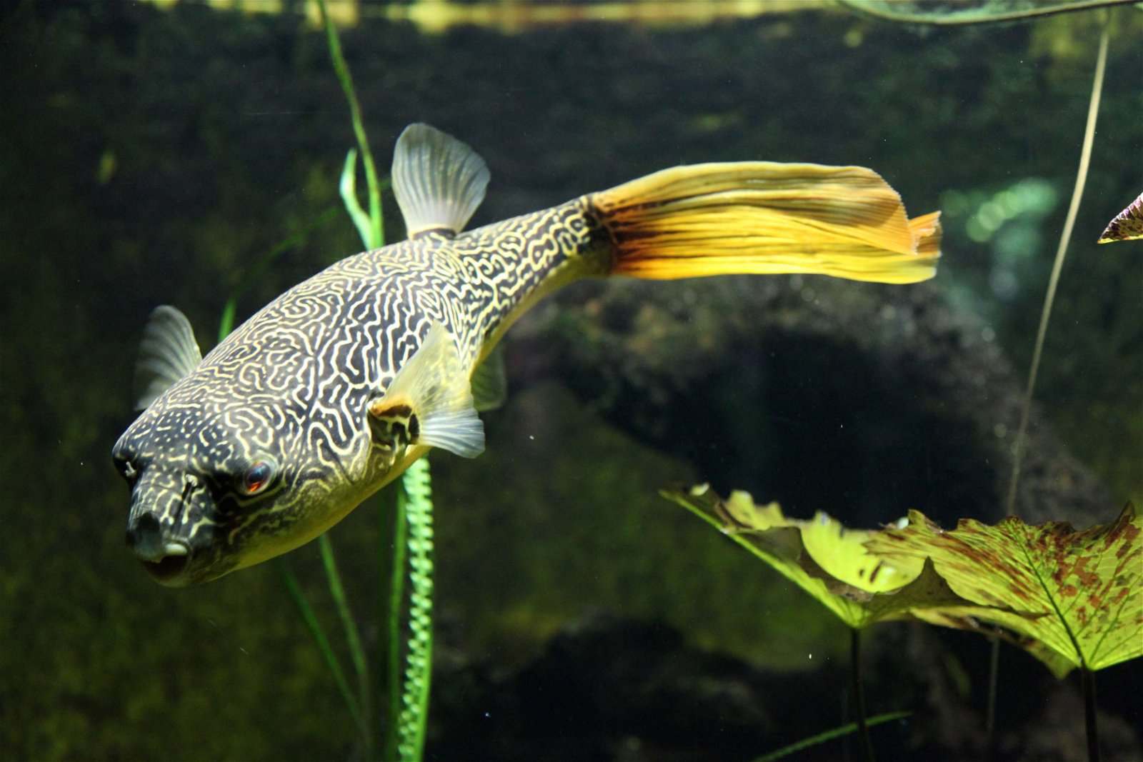 Aquazoo – Löbbecke-Museum Düsseldorf