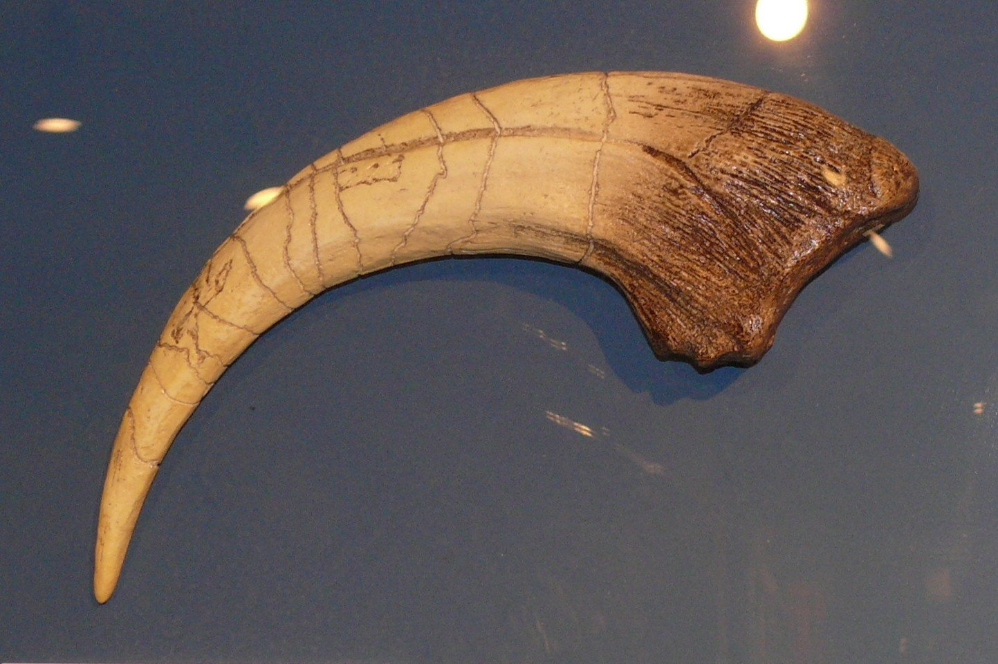 Aquazoo – Löbbecke-Museum Düsseldorf