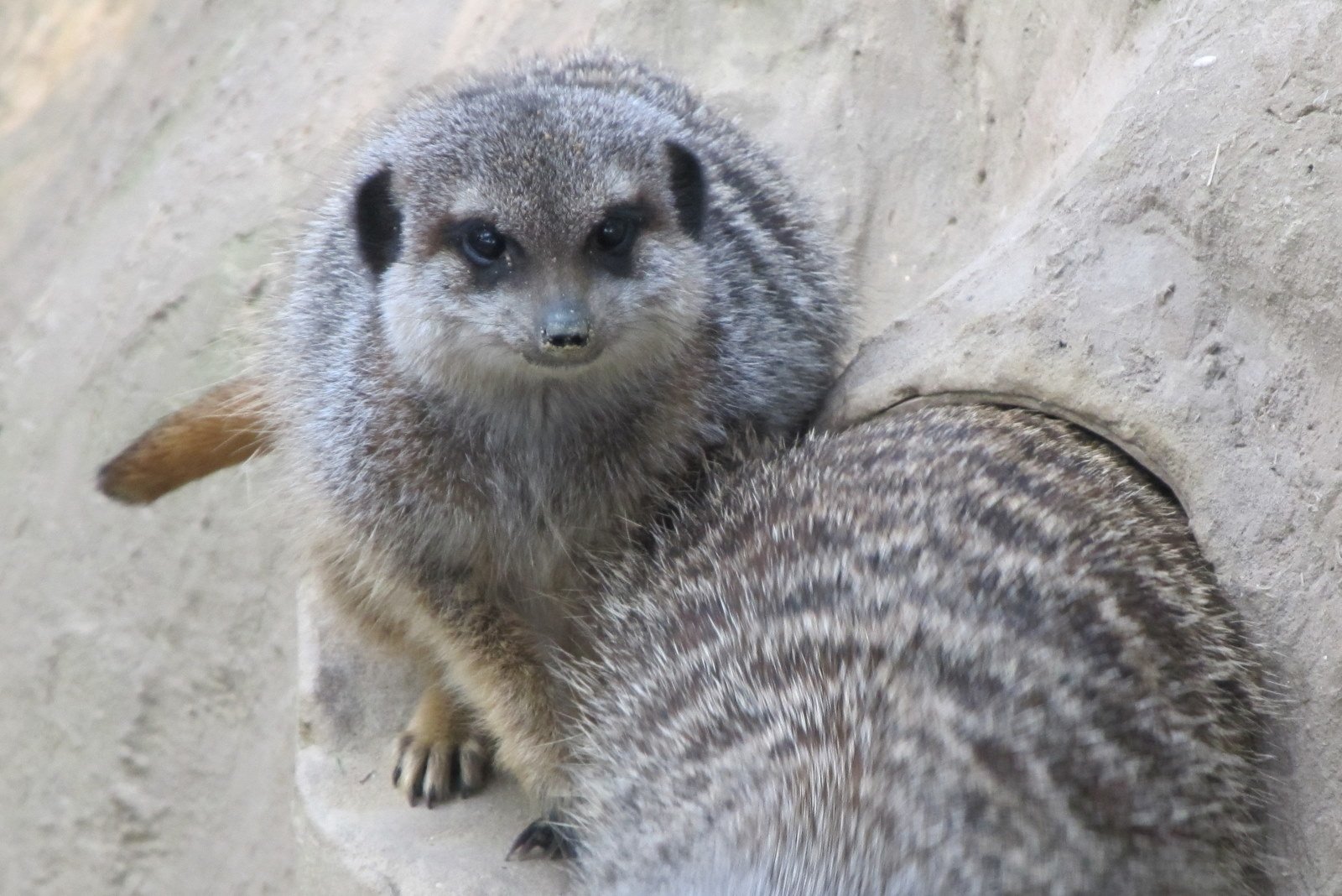 Familiepark Harry Malter