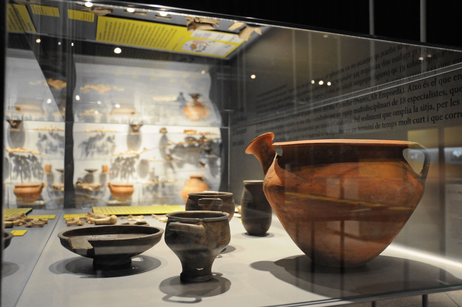 Museum of Archaeology of Catalonia