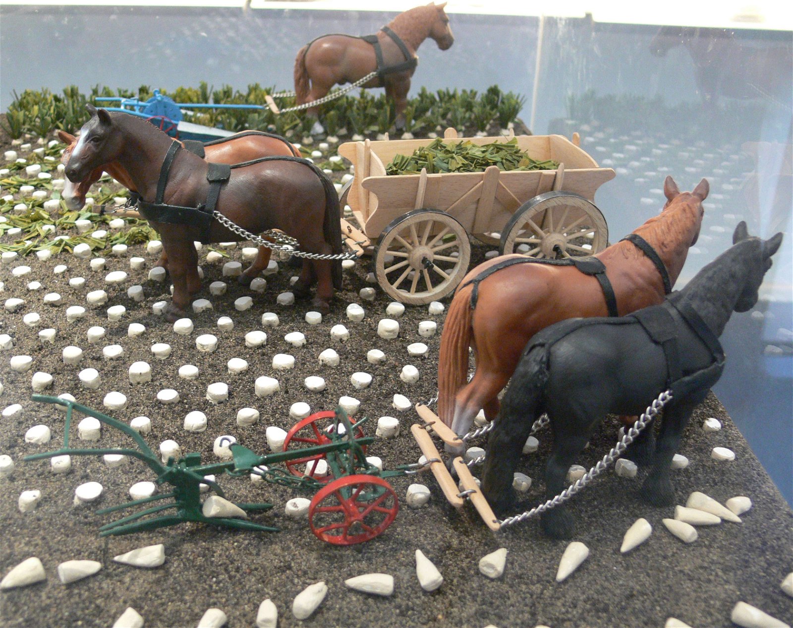 Zucker Museum
