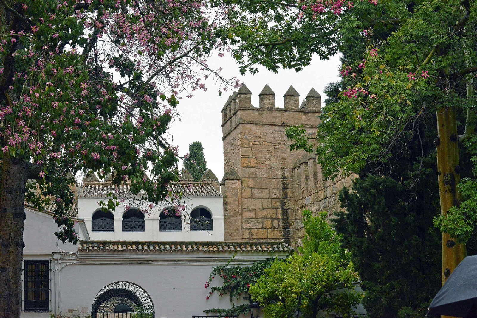 Real Alcázar