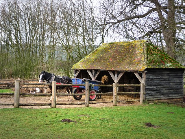 Weald & Downland Open Air Museum