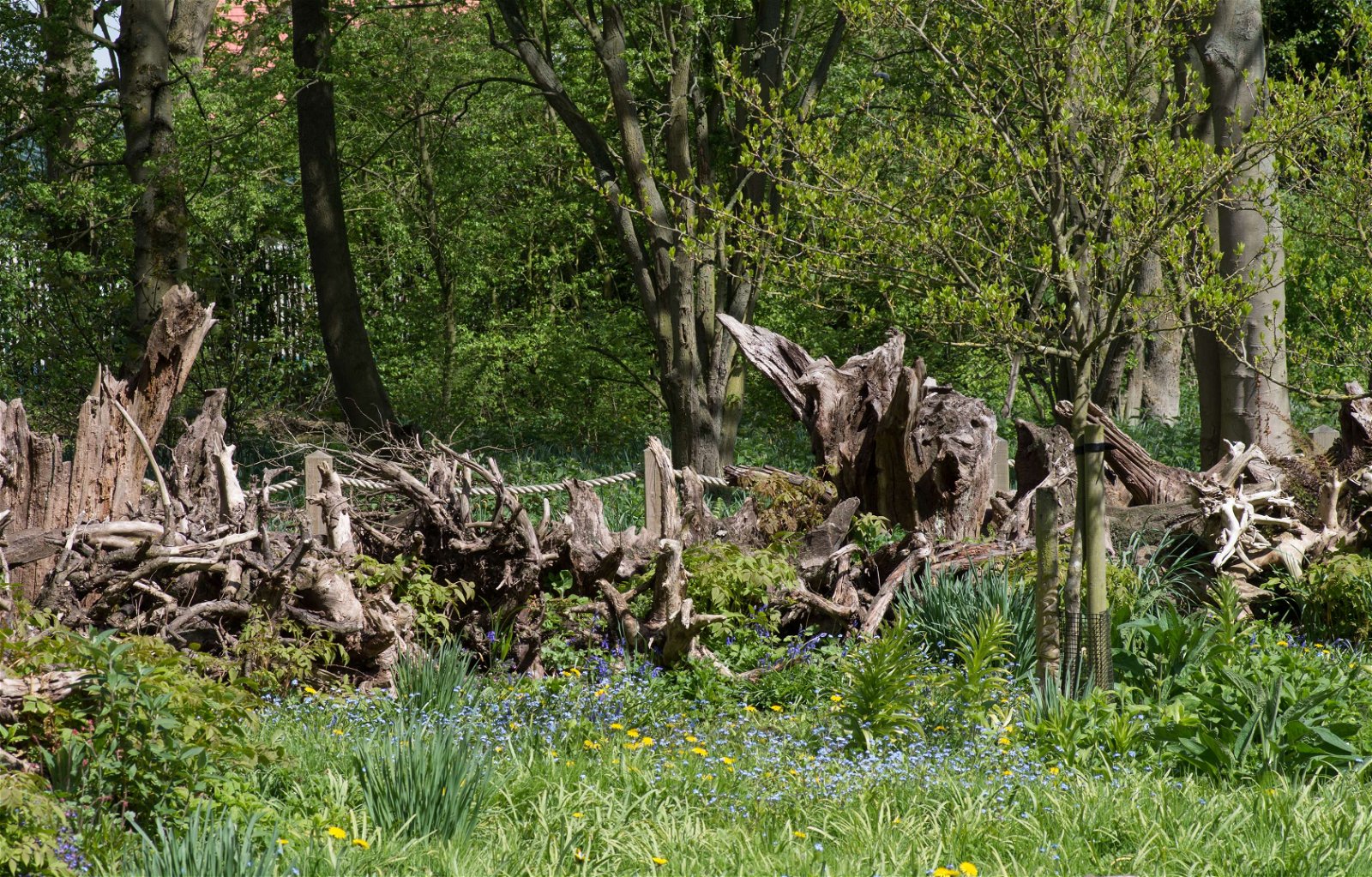 Stewart's Burnby Hall Gardens and Museum