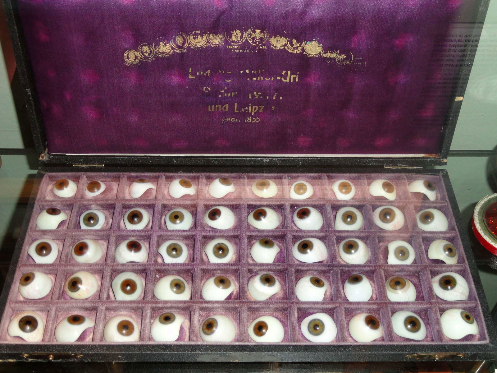 Helsinki University Museum