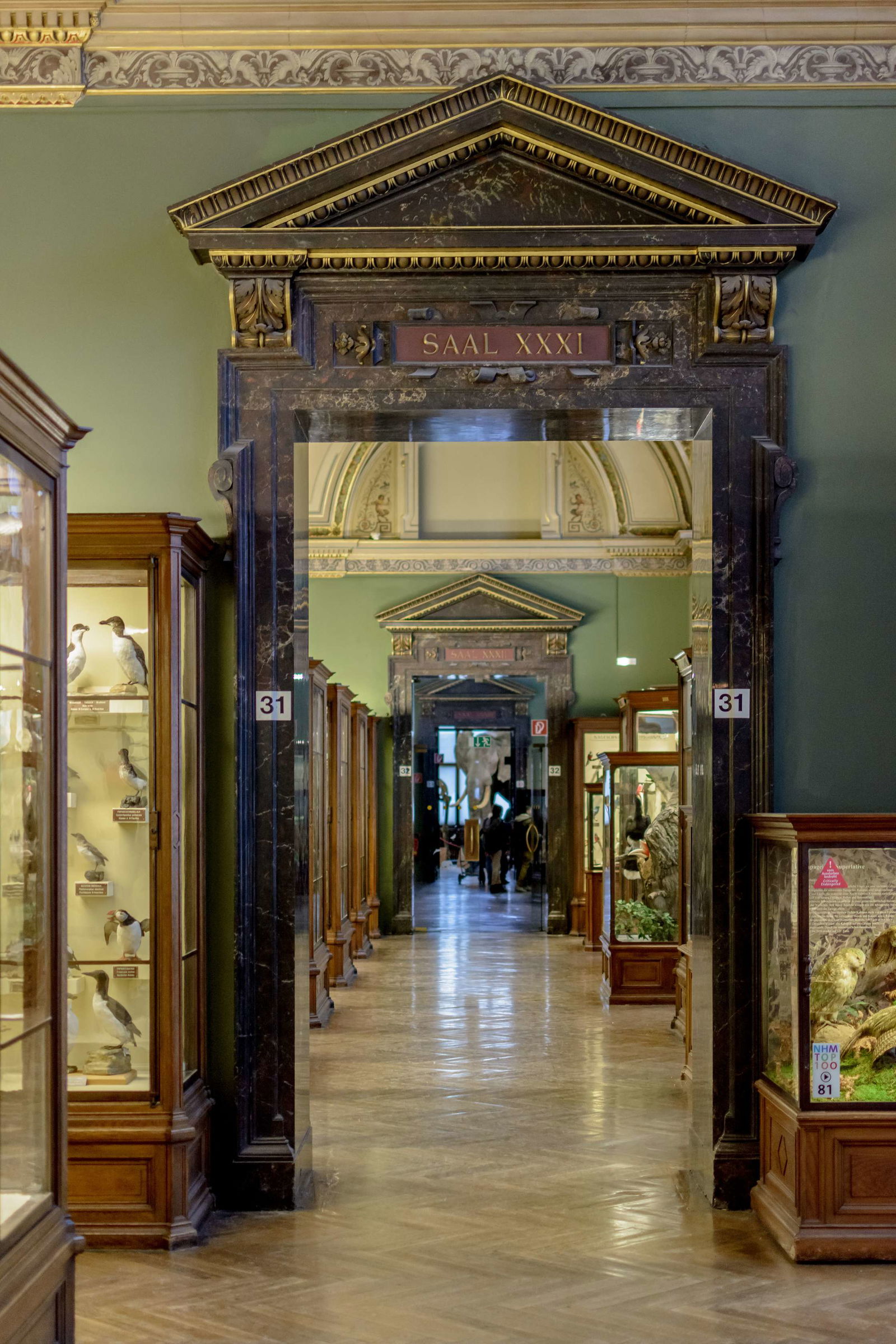 Naturhistorisches Museum