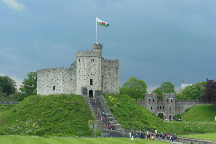 Firing Line: The Cardiff Castle Museum of the Welsh Soldier