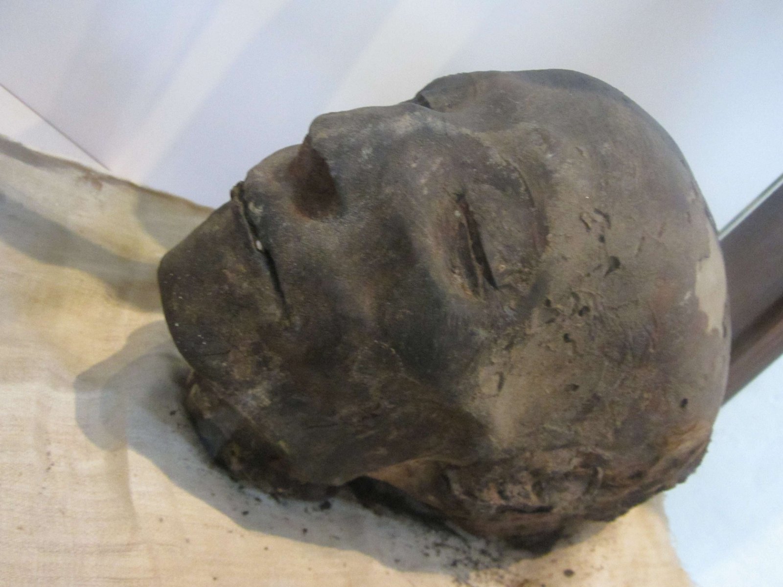 Egyptian Museum of Turin