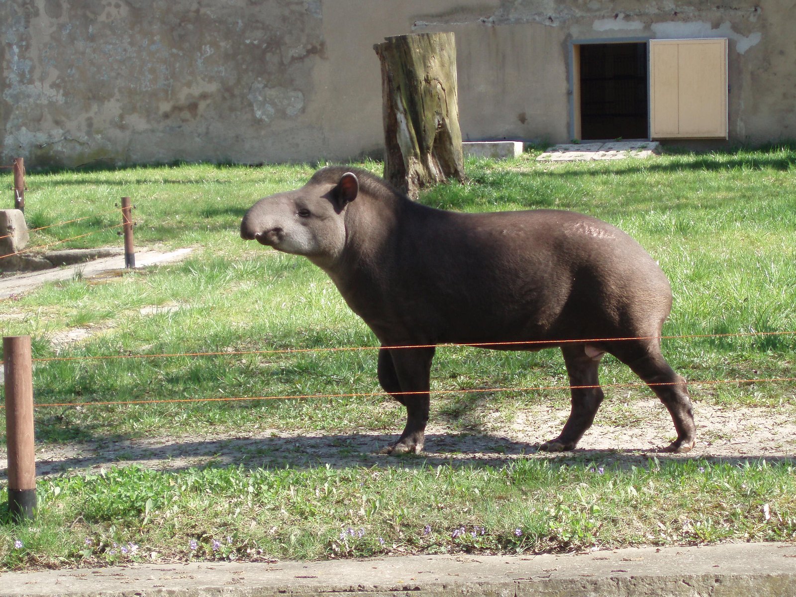 Lodz Zoo