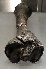 Museo Nacional de Ciencias Naturales