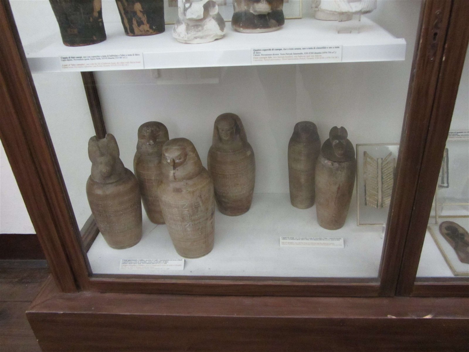 Egyptian Museum of Turin