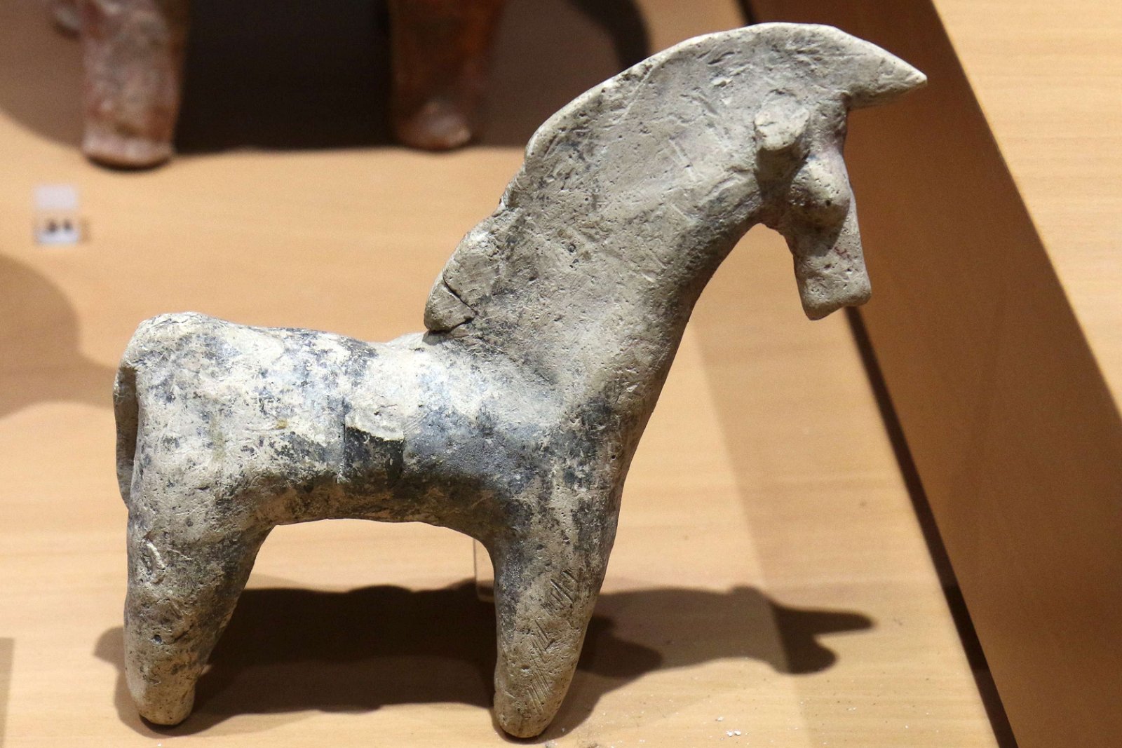 Museum of Mediterranean Archaeology