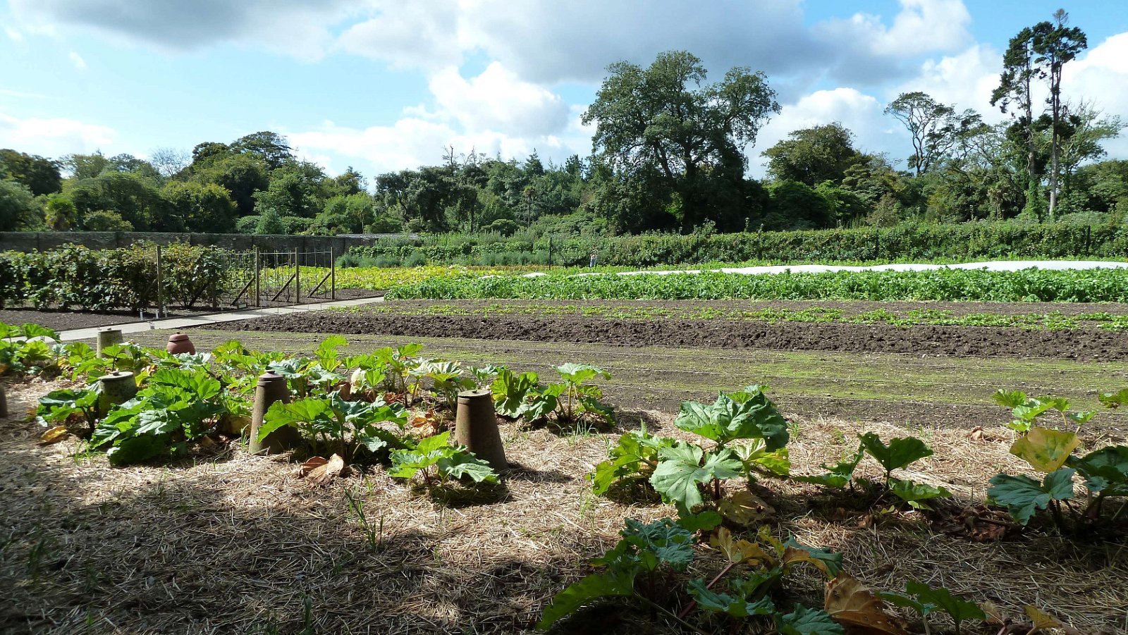 The Lost Gardens of Heligan