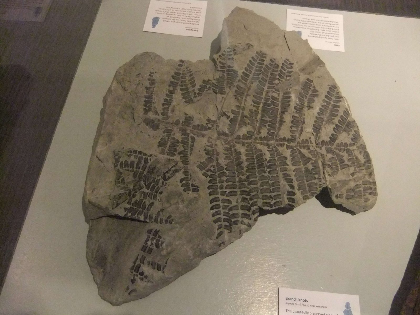 Wrexham County Borough Museum and Archives