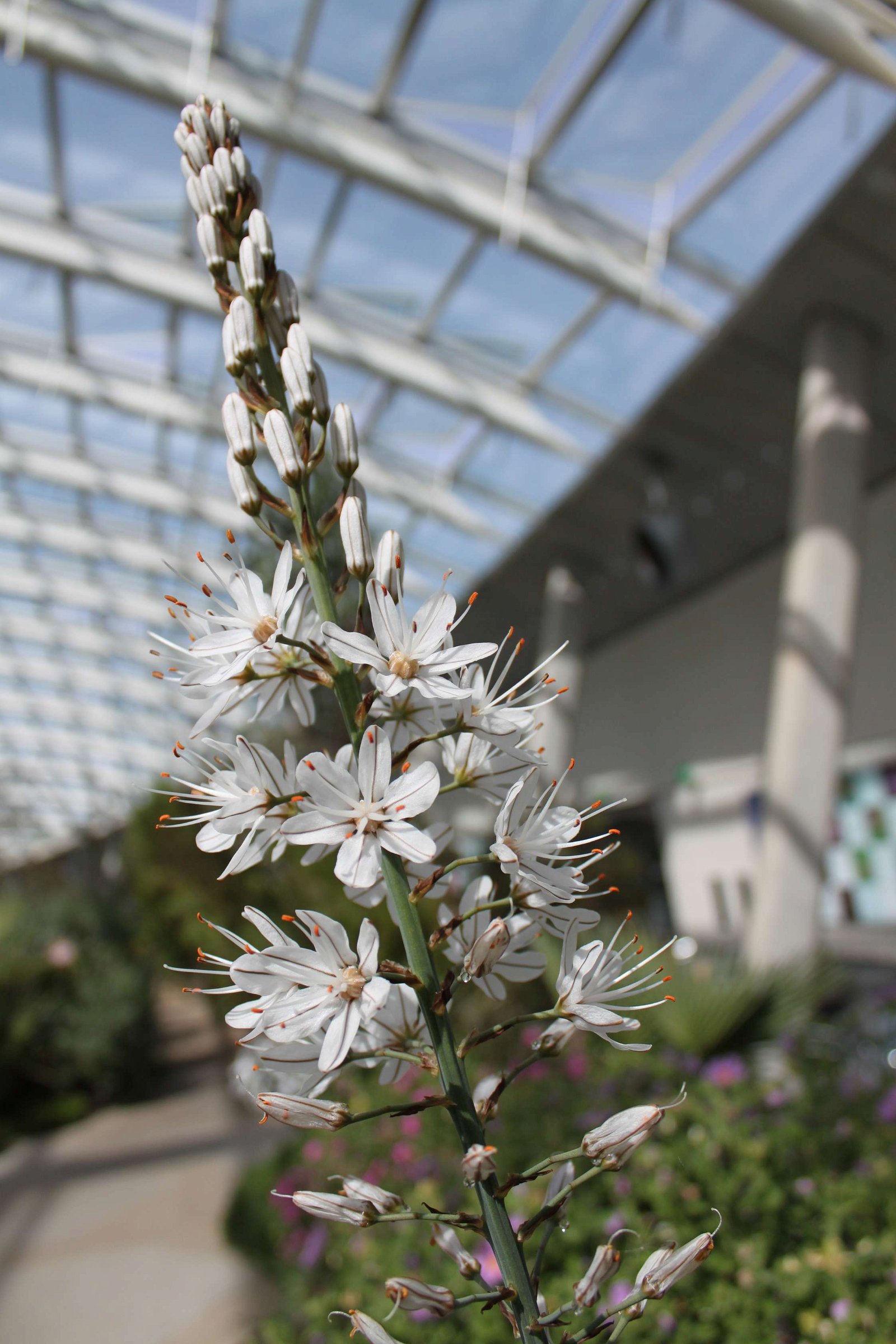 National Botanic Garden of Wales