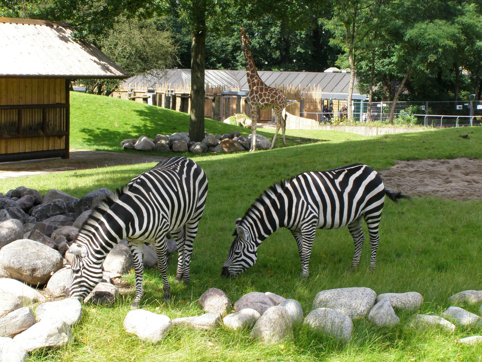 Copenhagen Zoo