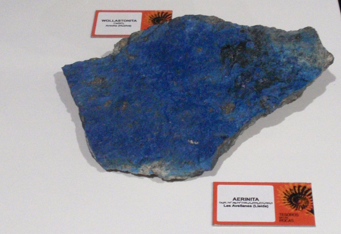 Museo Elder de la Ciencia y la Tecnología