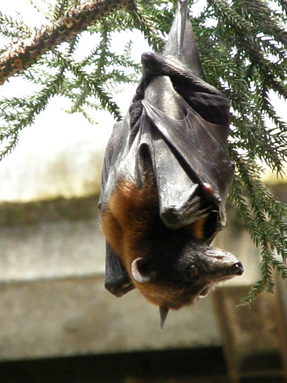Zoologischer Garten Leipzig