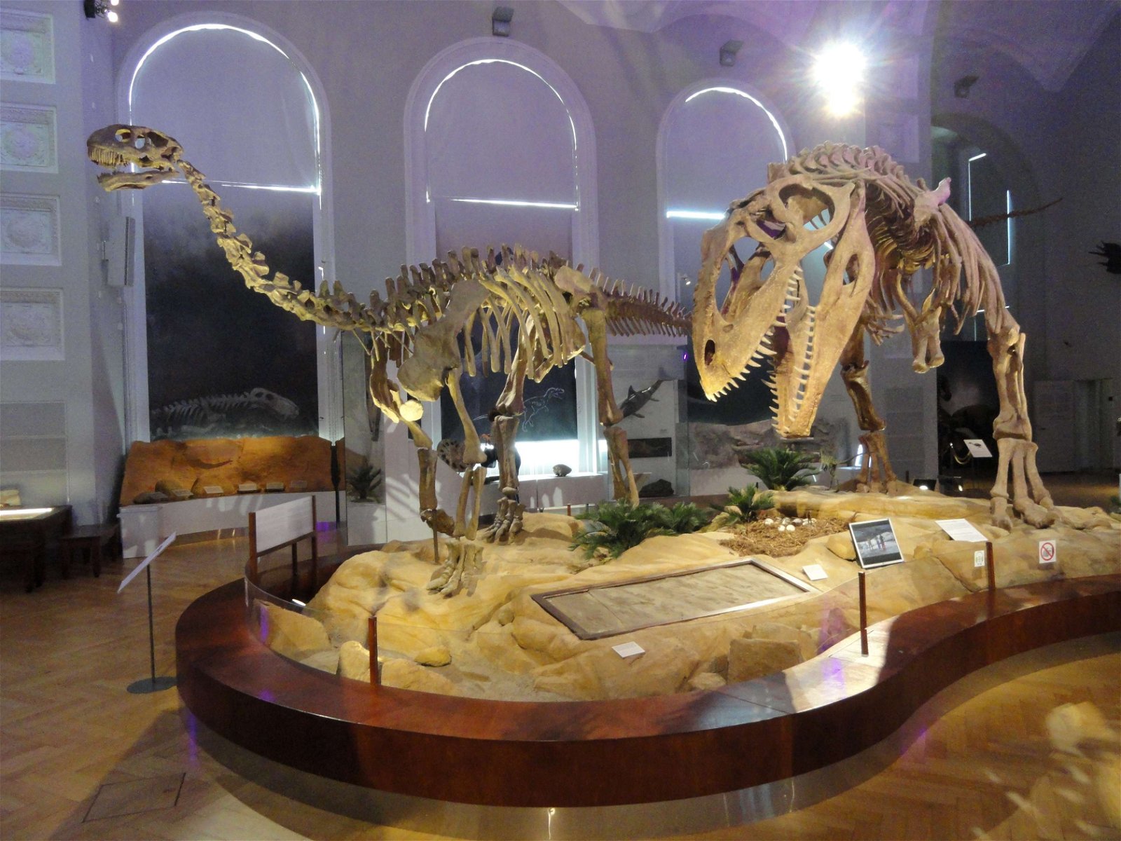 Finnish Museum of Natural History