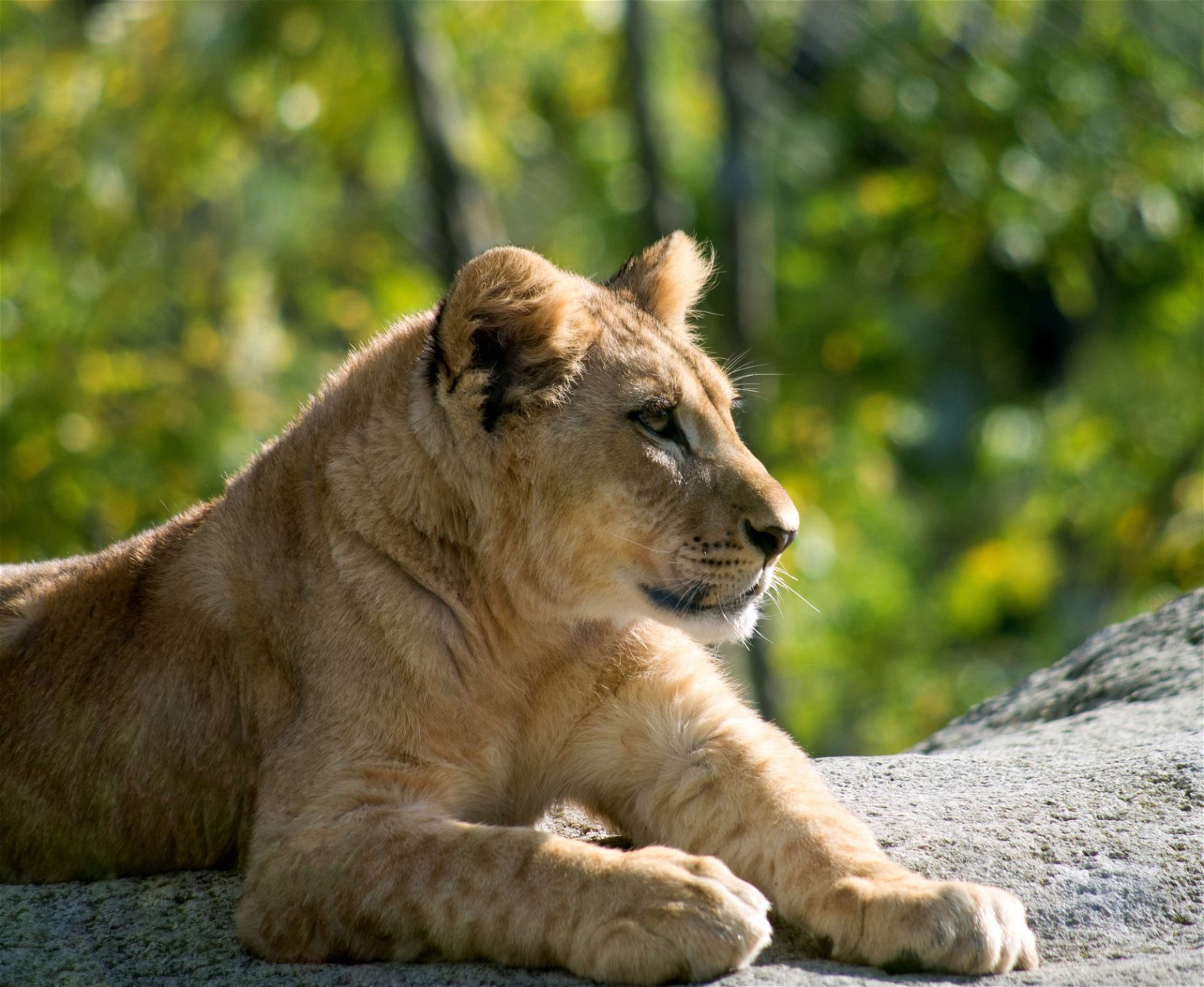 Parc zoologique de Paris